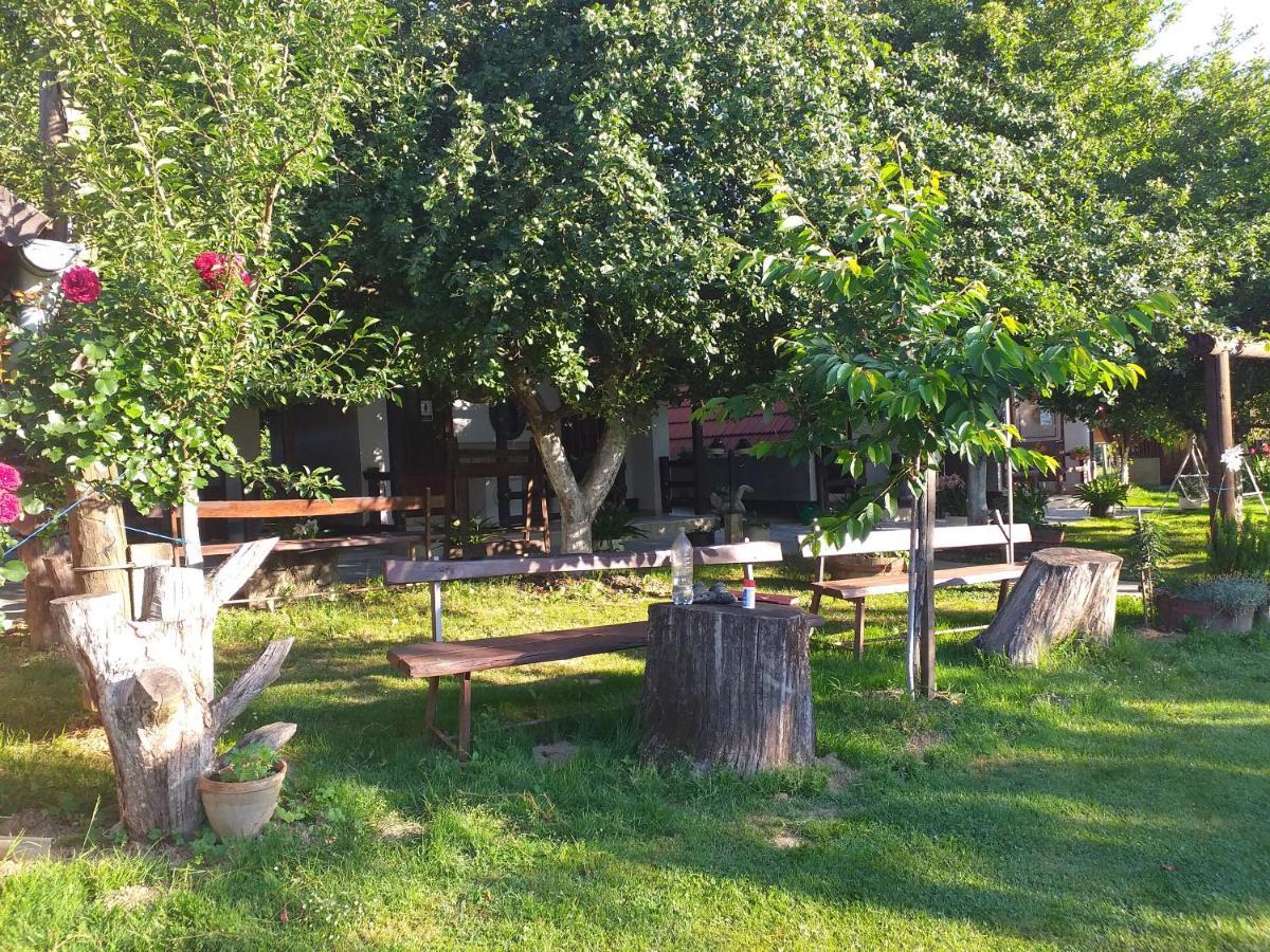 Camping Lukac Kutina Exteriör bild