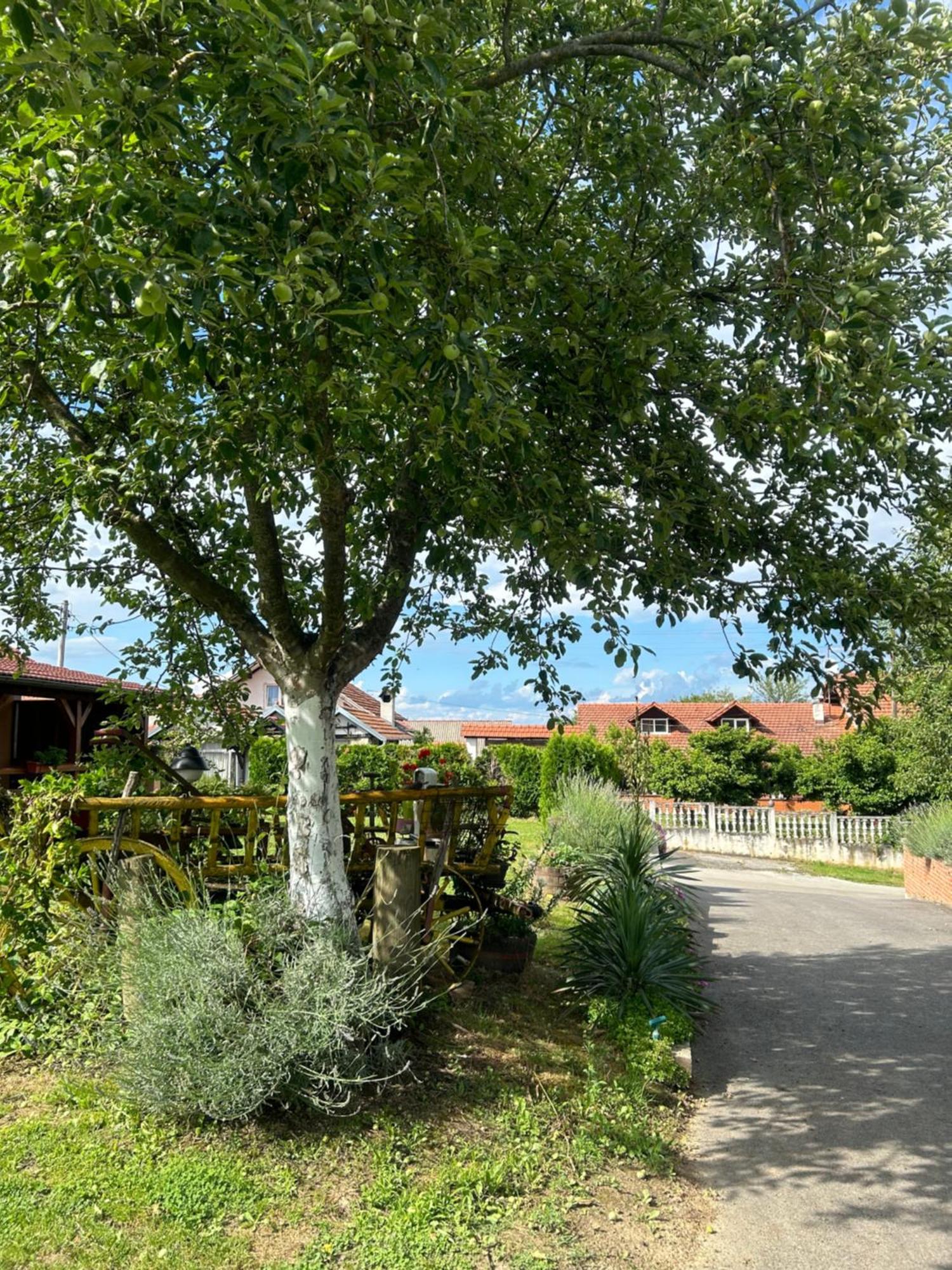 Camping Lukac Kutina Exteriör bild
