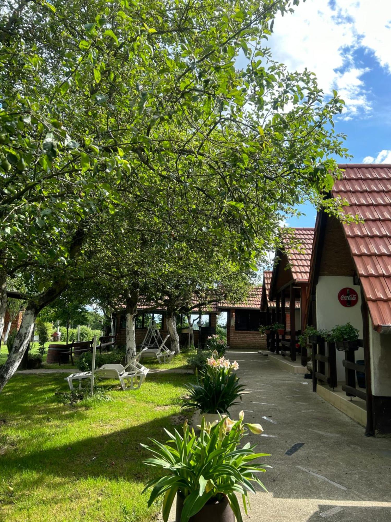Camping Lukac Kutina Exteriör bild