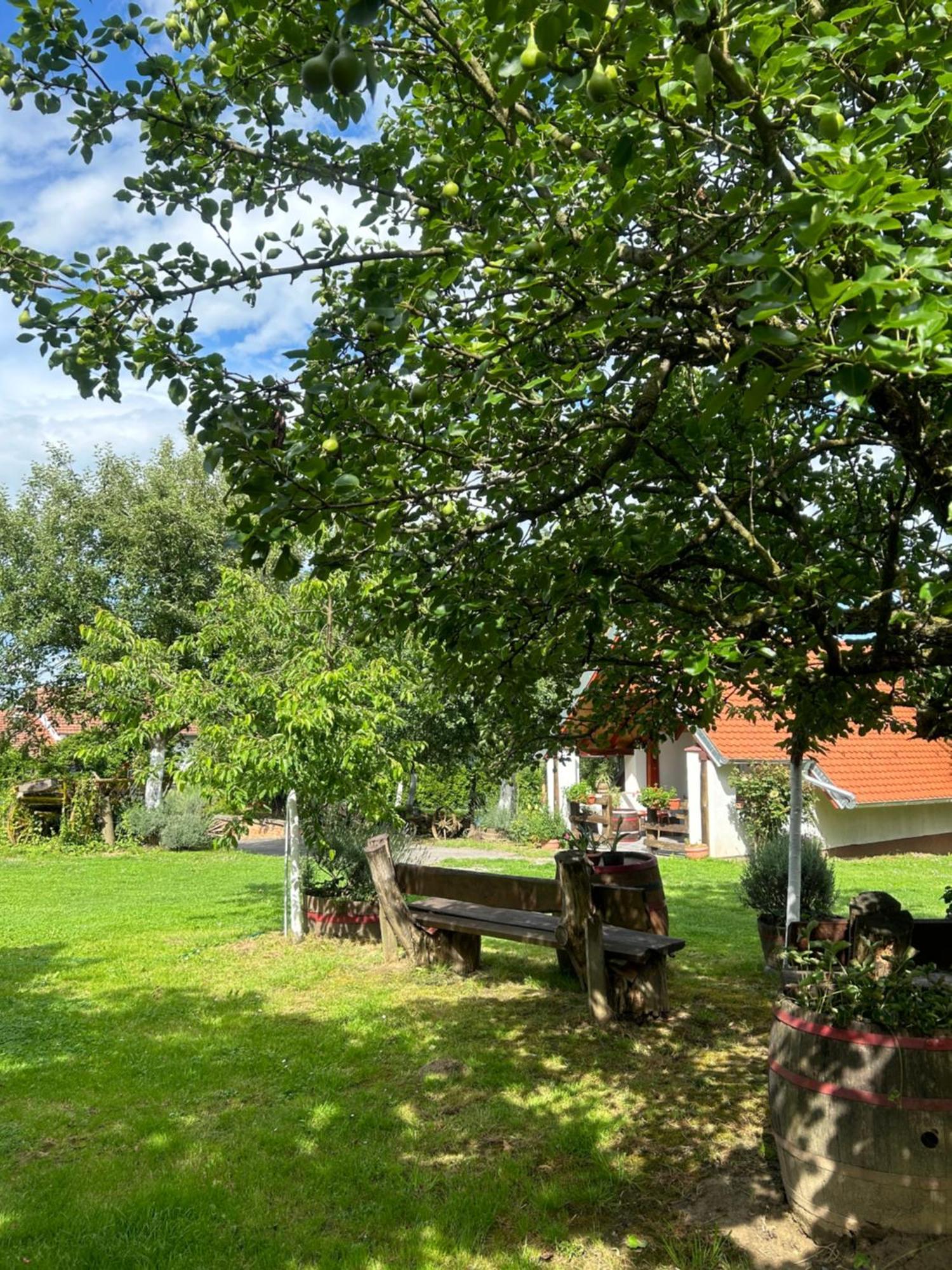 Camping Lukac Kutina Exteriör bild